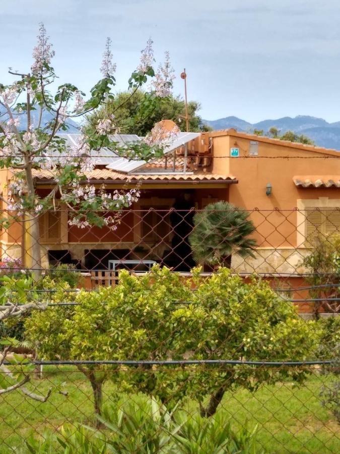 Sa Caseta Ferienhaus Llubí